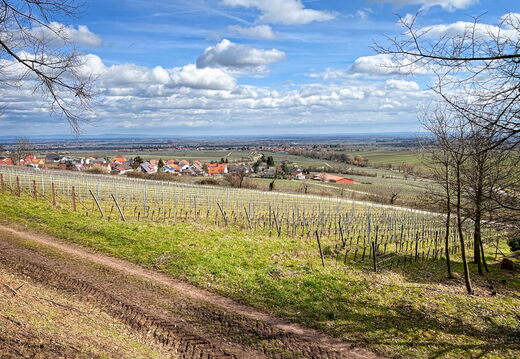 23-03-13 12-49-56 4852